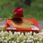 Dr. Alvin Kojic Acid Soap - Image 4